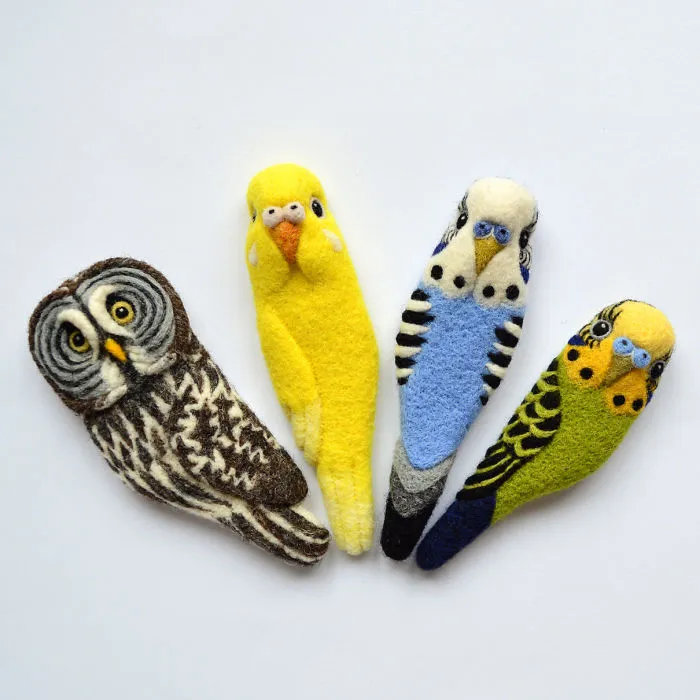 Great Grey Owl And Budgerigars