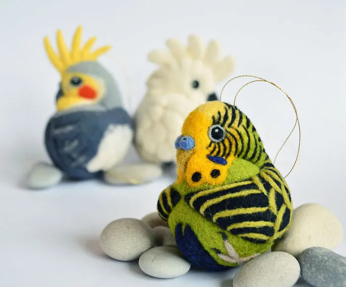 Budgerigar