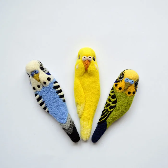 Budgerigars
