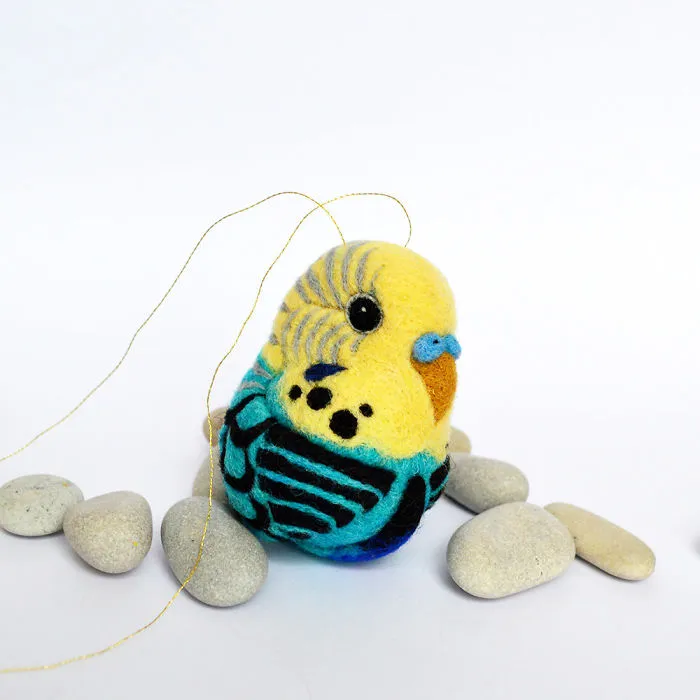 Budgerigar