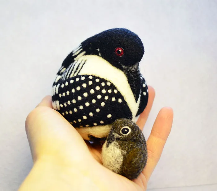 Common Loon With Chick