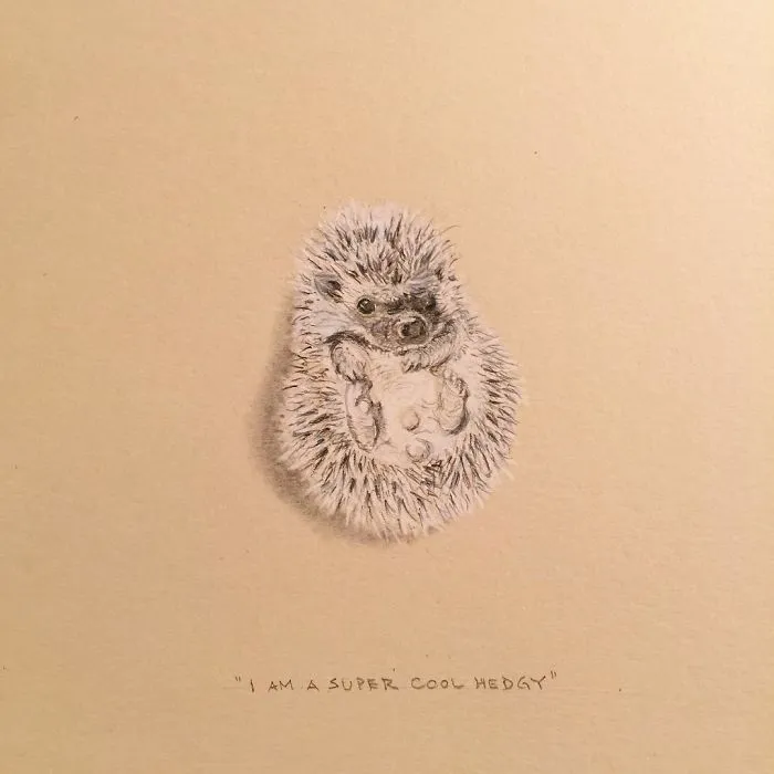 I Am A Super Cool Hedgy