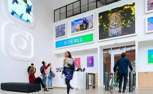 10 Office Spaces You Wish You Worked In