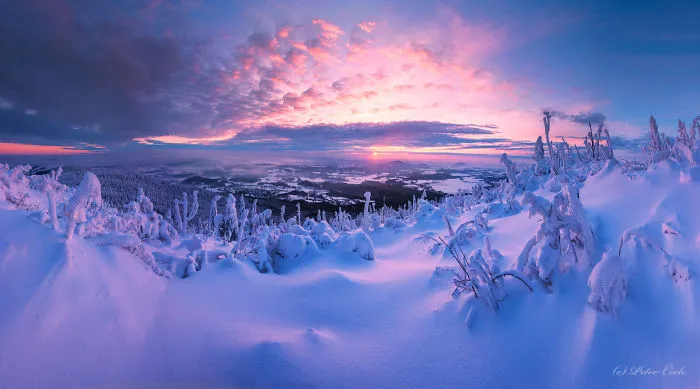 Land Of Miracles