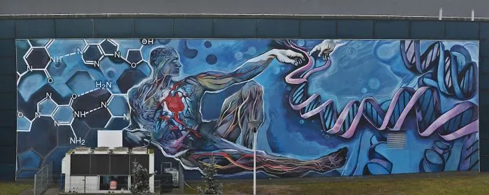Polish Michelangelo - New Mural In Łódź - Adam's Heart By Piotr Chrzanowski