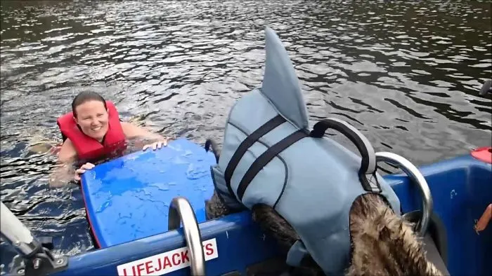 Yoshi The Sharkkitty Goes Swimming!! (yes, A Swimming Cat!)
