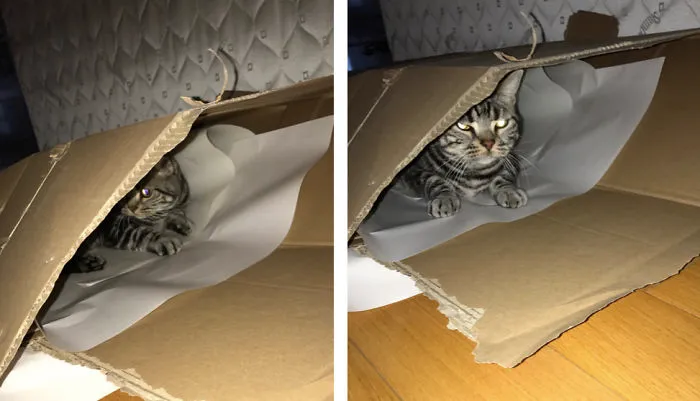 Before And After Called A Good Boy