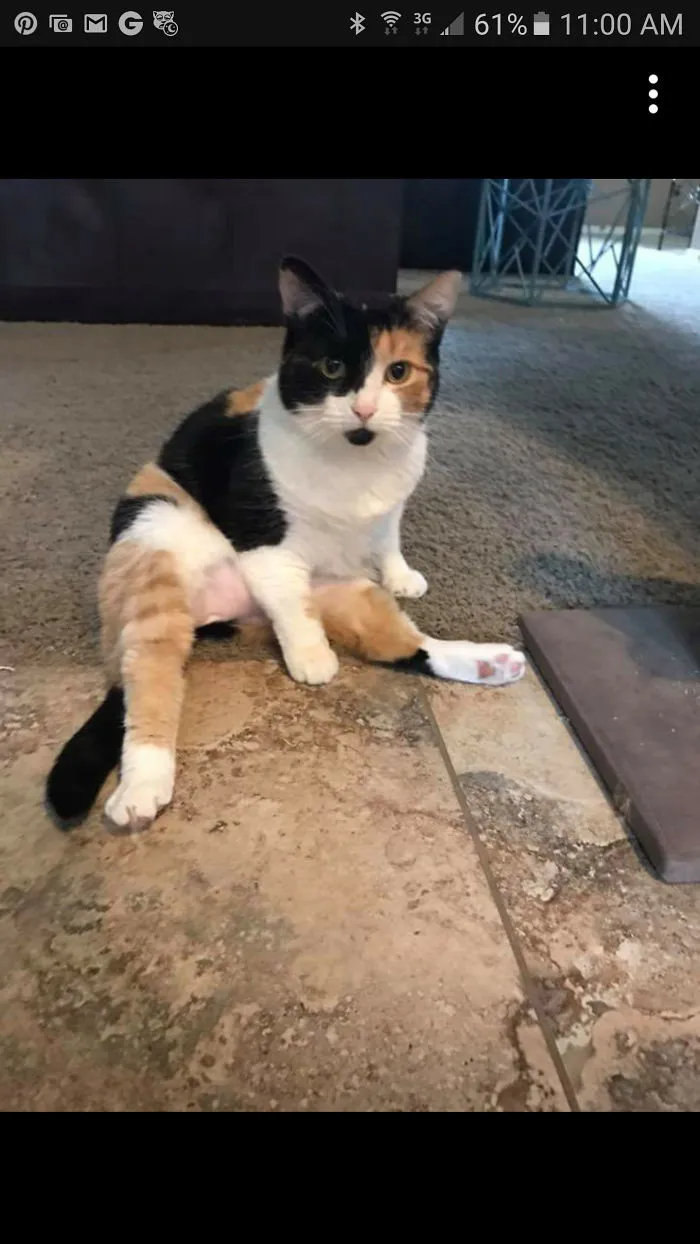 What Are You Looking At?