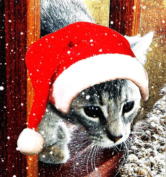 Stevie Mouse And The Fight For Early Christmas Decorations