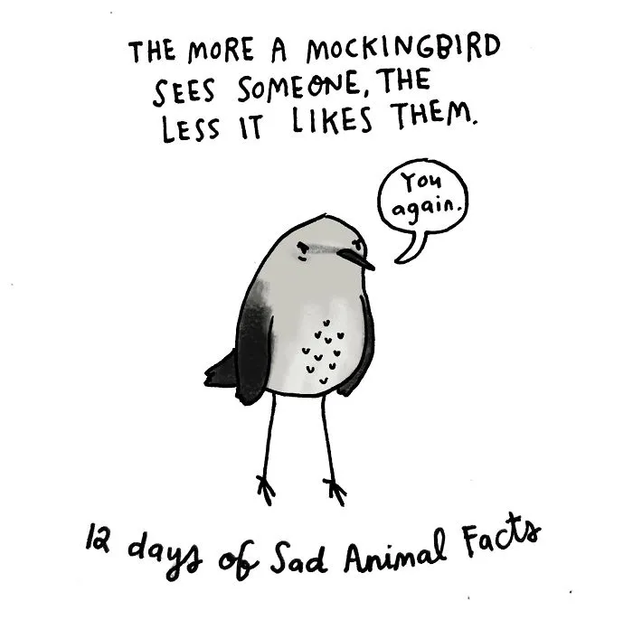 On The Fourth Day Of Christmas My True Love Gave To Me: A Calling Bird Screaming At Its Enemy