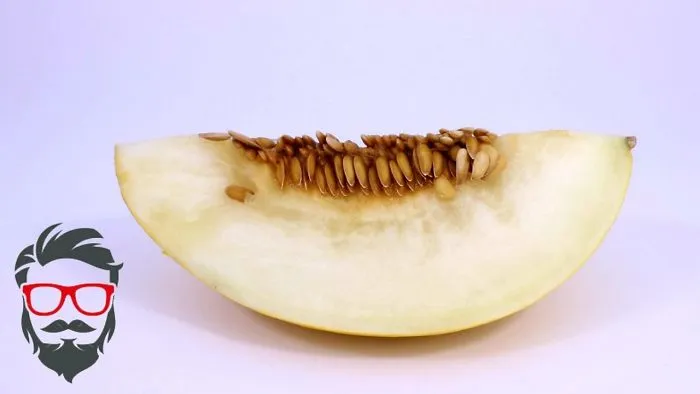 Rotting Melon, 21 Days In 30 Seconds.