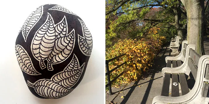 Left At Botanical Gardens In New York