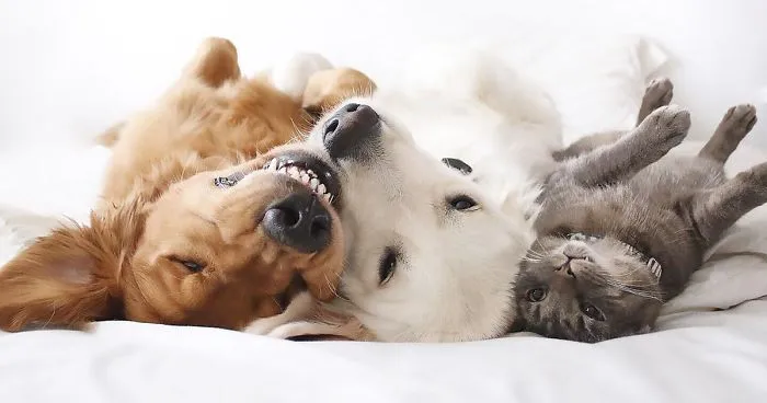 Squad Goals