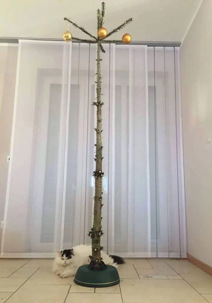 Christmas Tree For Cat Owners