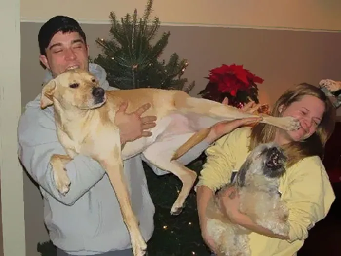 Or Realistic Christmas Card