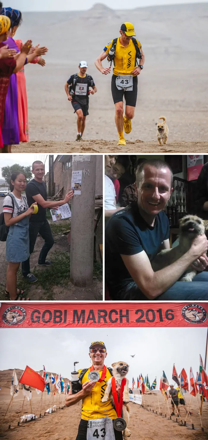 Stray Dog Who Joined Runner On 155-Mile Race Disappears So The Athlete Flies To China To Find Him And Take Him Home
