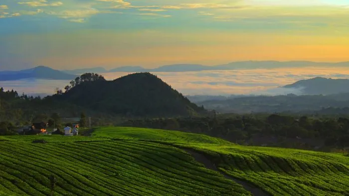 Top Escape Destination Near With Jakarta Aside Of Bogor