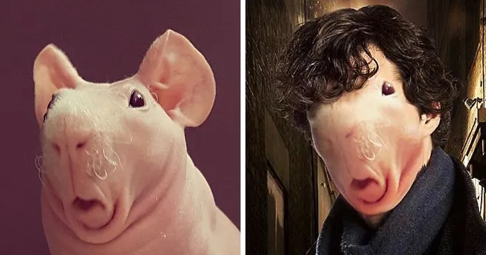 Naked Guinea Pig Sparks Photoshop Battle, Hilariously Gets Turned Into Pop Culture Characters