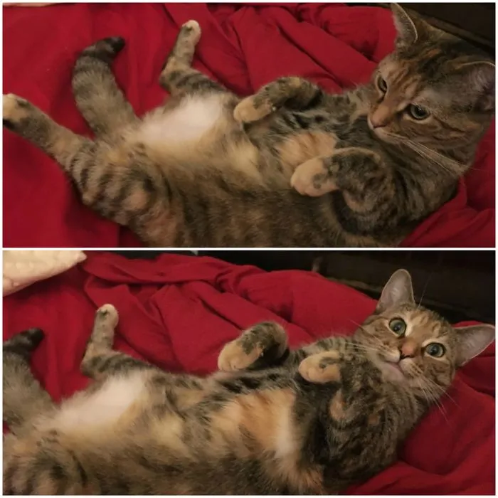 Calypso, Before And After Being Called A Good Girl