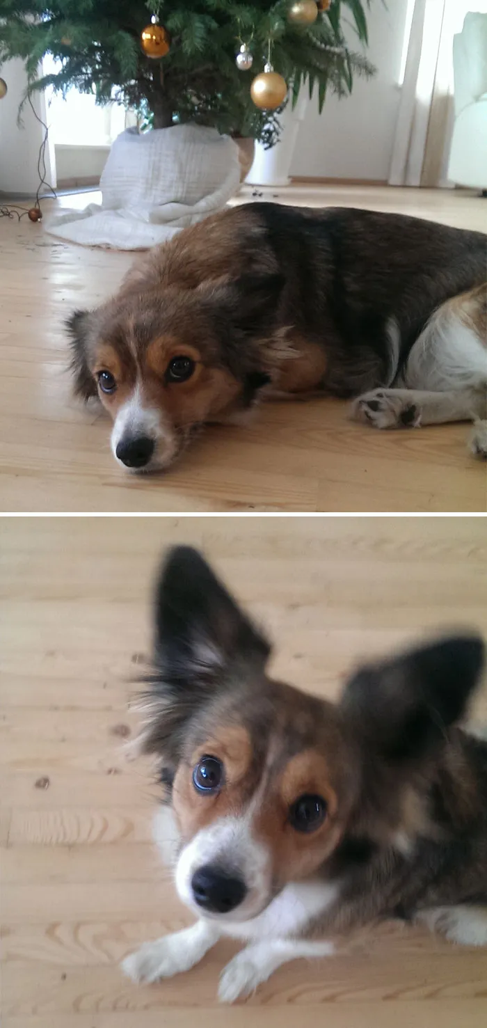 Before And After Being Called A Good Girl