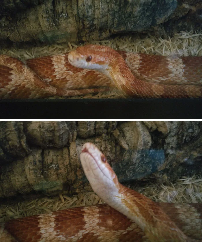 Before And After Being Called A Good Girl