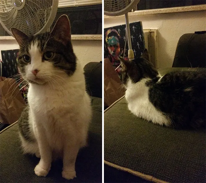Before And After Being Called A Good Girl