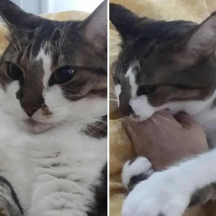 Before And After Being Called A Good Girl