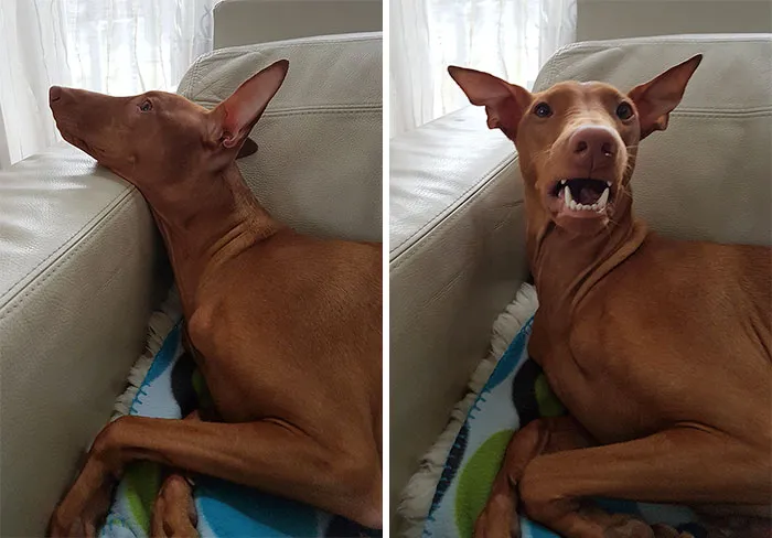 Before And After Being Called A Good Girl