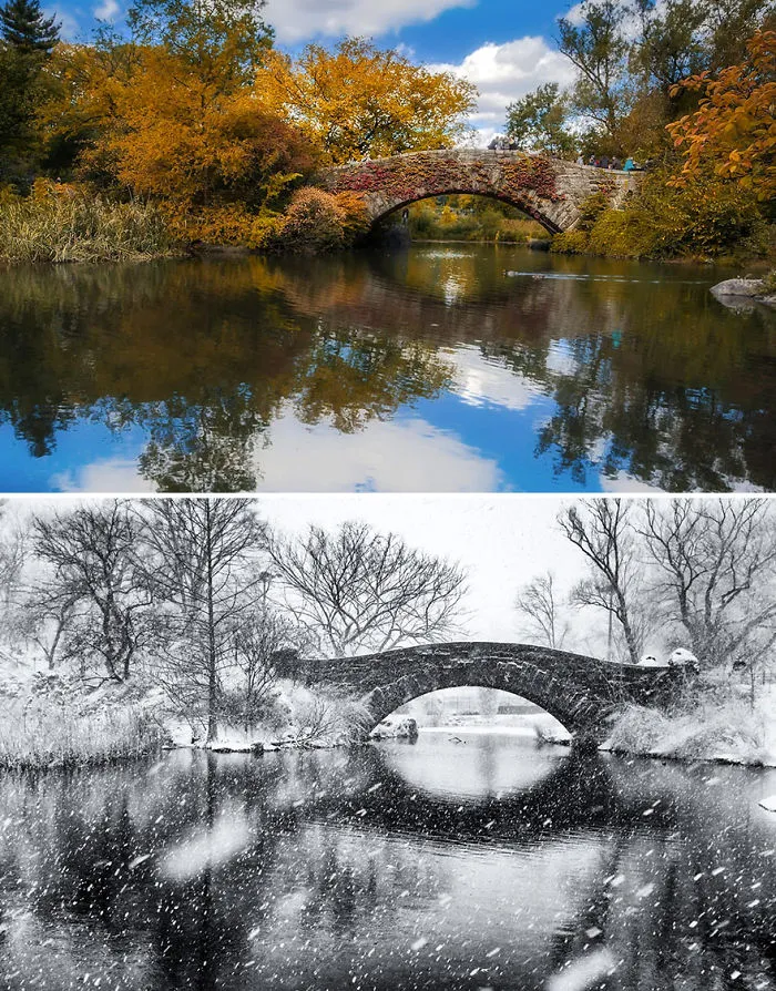 Central Park, New York, Usa