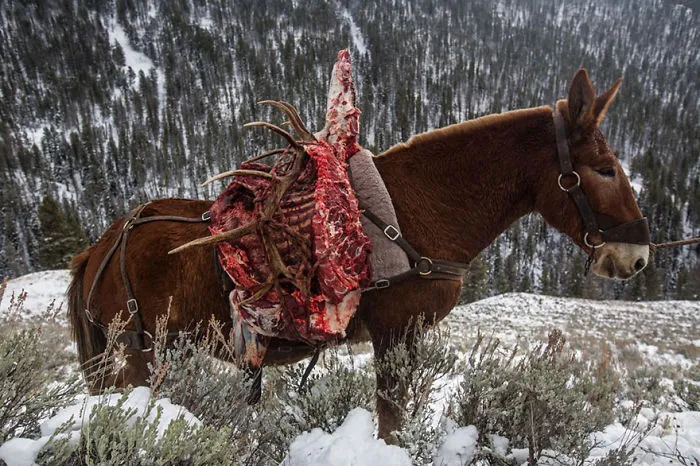 48 Of The Best Images Of The Year Announced By National Geographic