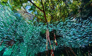 48 Of The Best Images Of The Year Announced By National Geographic