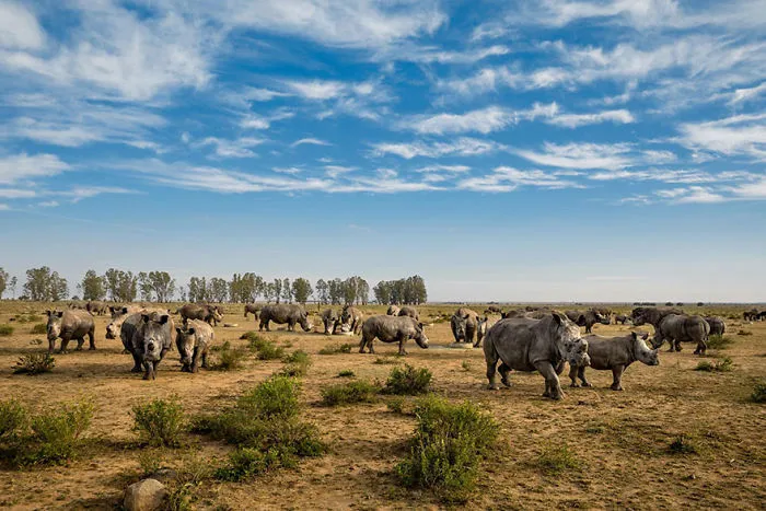 48 Of The Best Images Of The Year Announced By National Geographic
