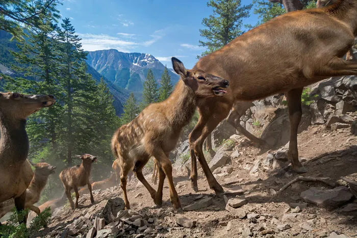 48 Of The Best Images Of The Year Announced By National Geographic