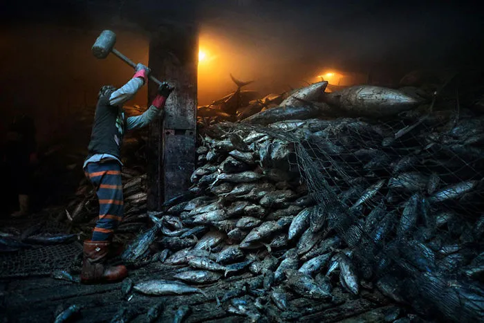 48 Of The Best Images Of The Year Announced By National Geographic