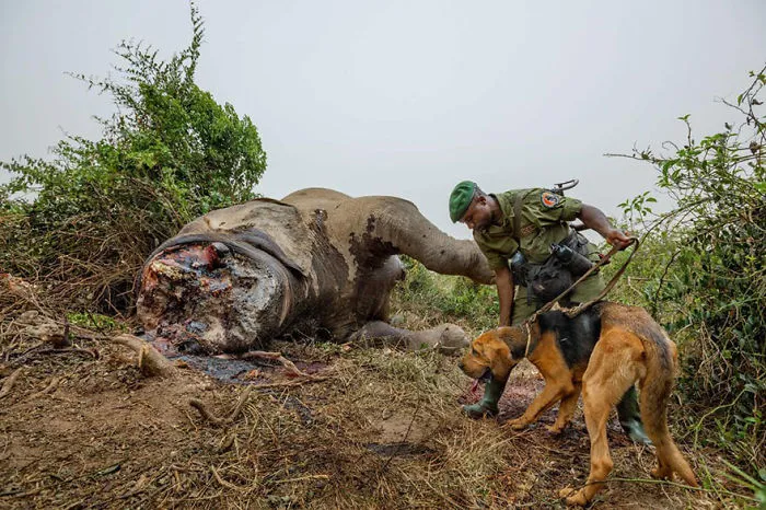 48 Of The Best Images Of The Year Announced By National Geographic