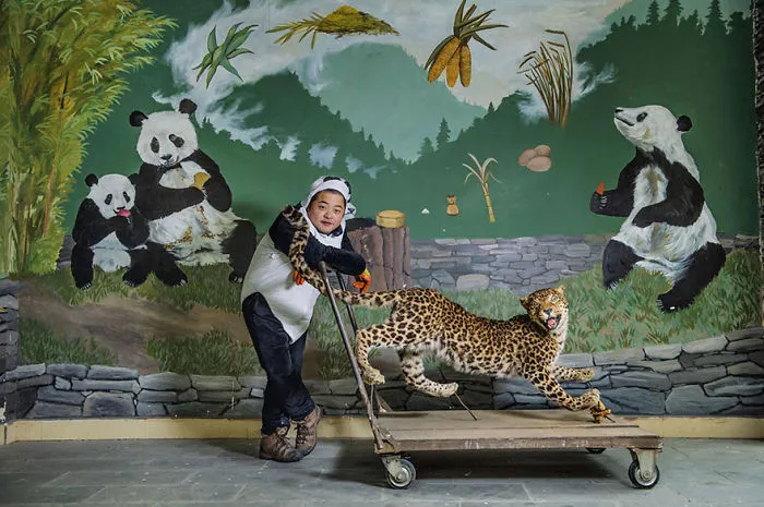 48 Of The Best Images Of The Year Announced By National Geographic