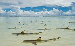 48 Of The Best Images Of The Year Announced By National Geographic