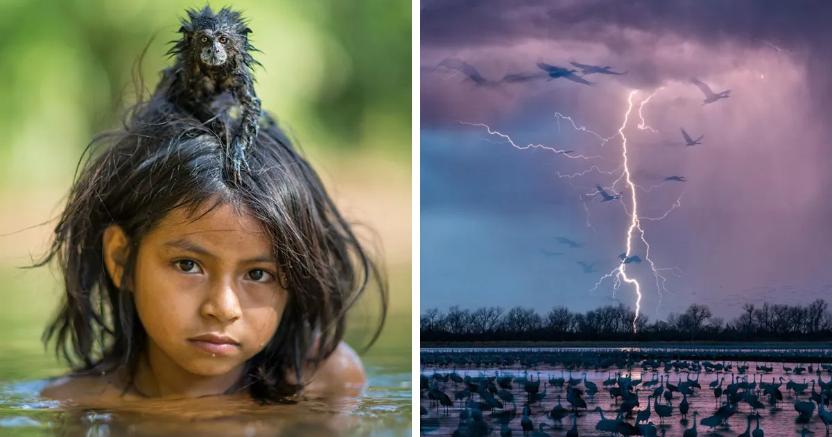 15 De las mejores imágenes del año anunciadas por National Geographic