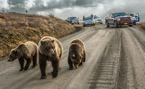 48 Of The Best Images Of The Year Announced By National Geographic