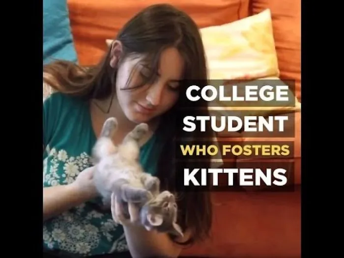 This College Student Saves Kittens On Her Summer Break