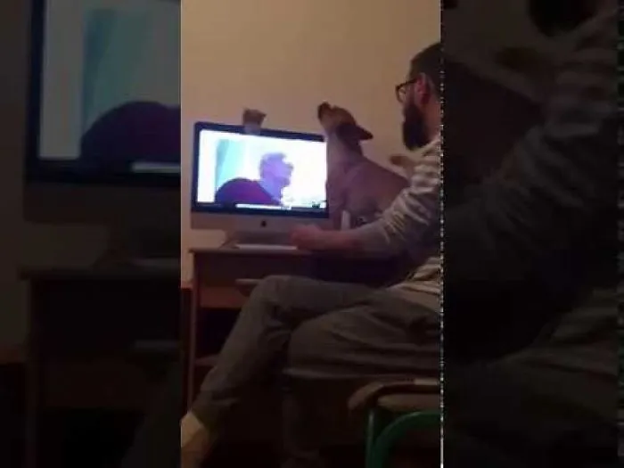 My Dog Talking With My Father On Skype