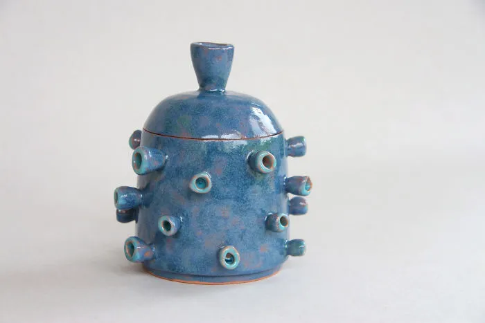 Creative Ceramic Boxes With "Polyps"