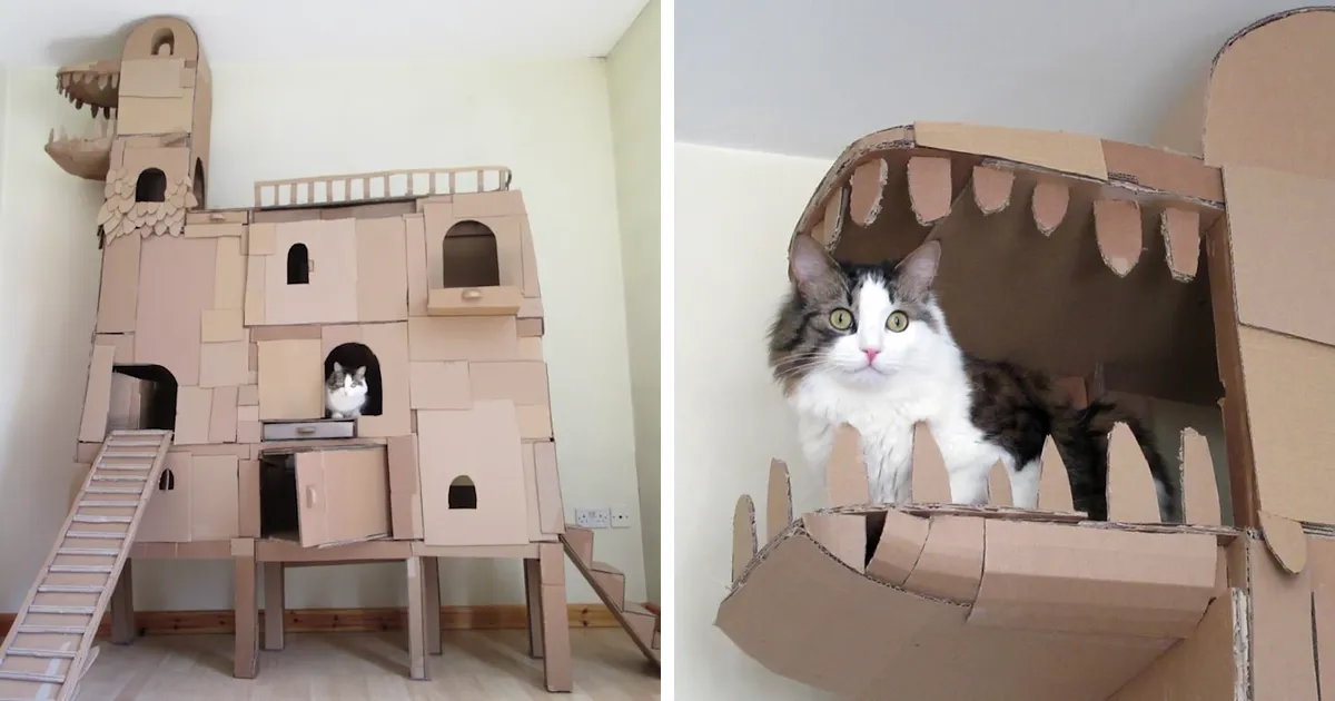 Este humano construyó una casa de cartón en forma de dragón para complacer a su amo gatuno