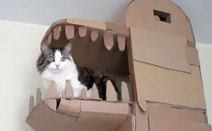 Human Builds A Dragon-Shaped Cardboard House For His Cat In Order To Please His Master