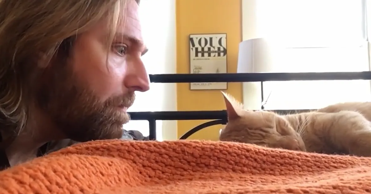 Este hombre se venga de su gato que siempre le despierta a las 4 de la mañana
