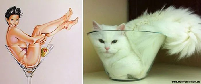 48 Cats Posing Like Pin Up Girls