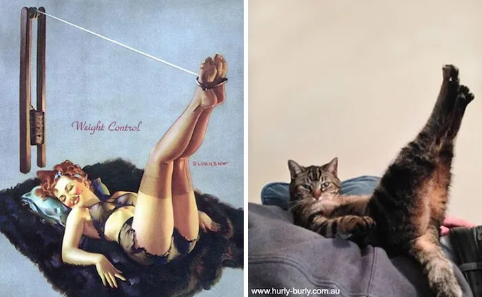 Cat Pin Up