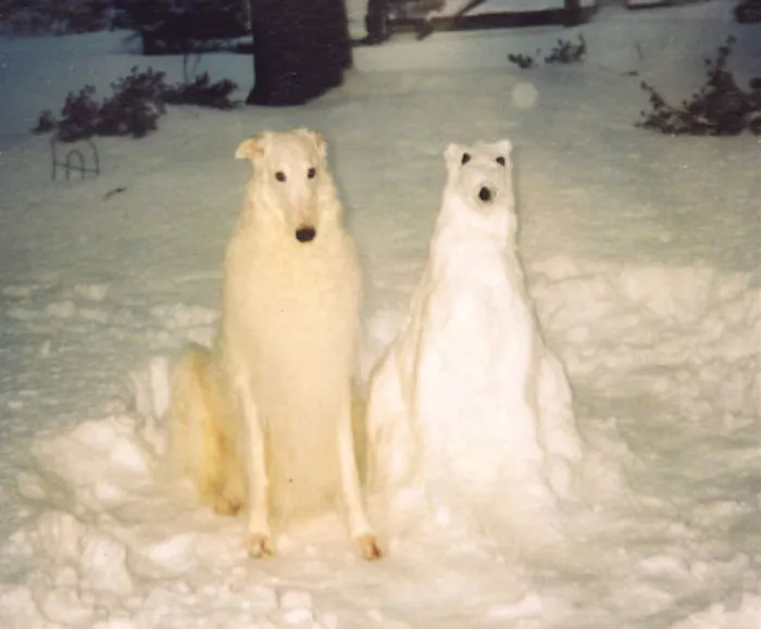 92 Hilariously Creative Snowmen That Would Make Calvin And Hobbes Proud