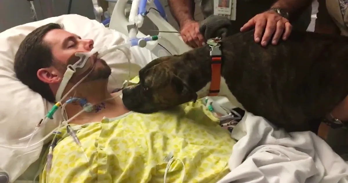 Este perro visitó a su dueño moribundo en el hospital para decirle adiós
