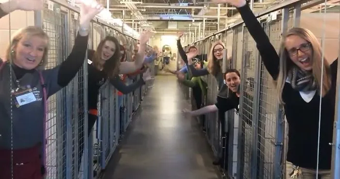 Animal Shelter Celebrates Their Happiest Day Ever Because All Kennels Are Empty
